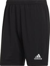Lühikesed püksid Adidas Entrada 22 H57504, XL, must