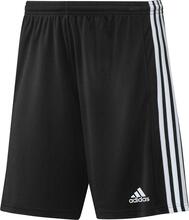 Meeste lühikesed püksid Adidas Squadra 21 GN5776, 2XL, must