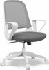Kontoritool SENSE7 Sopty, 48 x 57 x 85 - 93 cm, valge/hall