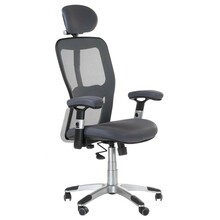 Kontoritool CorpoComfort Beauty Line BX-4147, hall