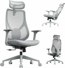 Kontoritool Moyo Sense7, 57 x 72.5 x 112 - 121.8 cm, hall