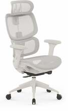 Kontoritool Nobu Sense7, 68 x 68.5 x 113 - 120.5 cm, helehall
