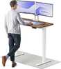 Reguleeritava kõrgusega laud Desktronic HomePro, 120 x 60 cm, valge/pähkel