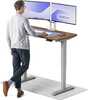 Reguleeritava kõrgusega kirjutuslaud Desktronic HomePro, 120 x 60 cm, hall/pähkel