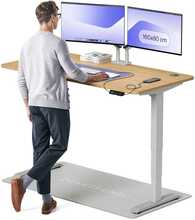 Reguleeritava kõrgusega laud Desktronic HomePro, 160 x 80 cm, hall/tamm