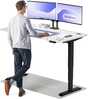 Reguleeritava kõrgusega laud Desktronic HomePro, 160 x 80 cm, must/valge
