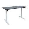 Reguleeritava kõrgusega kirjutuslaud Home4you Ergo Light, K187072, 120 x 60 cm, valge/must