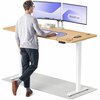 Elektriliselt reguleeritava kõrgusega kirjutuslaud Desktronic HomePro, 180 x 80 cm, valge/tamm