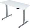 Reguleeritava kõrgusega kirjutuslaud Home4You Ergo Fit, 120 x 60 x 71,5-116 cm, valge/hõbehall