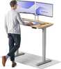 Reguleeritava kõrgusega kirjutuslaud Desktronic HomePro, 120 x 60 cm, hall/tamm