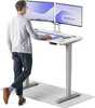 Reguleeritava kõrgusega kirjutuslaud Desktronic HomePro, 120 x 60 cm, hall/valge