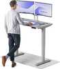 Kirjutuslaud reguleeritava kõrgusega Desktronic HomePro, 120 x 60 cm, hall