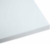 Lauaplaat Home4You Ergo, 160 x 80 cm, hallikasvalge