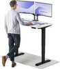 Reguleeritava kõrgusega laud Desktronic HomePro, 120 x 60 cm, must/valge