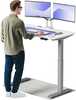 Elektriliselt reguleeritava kõrgusega laud Desktronic HomeOne, 120 x 60 cm, valge/hall