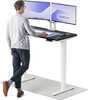 Reguleeritava kõrgusega laud Desktronic HomePro, 120 x 60 cm, valge/must