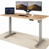 Elektriliselt reguleeritava kõrgusega laud Desktronic HomeOne, 160 x 80 cm, tamm/hall