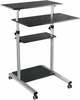 Reguleeritava kõrgusega kirjutuslaud Logilink Mobile Sit-Stand Workstation BP0070, hõbe/must