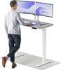 Reguleeritava kõrgusega laud Desktronic HomePro, 120 x 60 cm, valge/hall