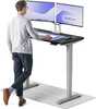 Reguleeritava kõrgusega laud Desktronic HomePro, 120 x 60 cm, must/hall