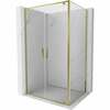 Dušikabiin Mexen Exo, ristkülik, aluseta, 100 x 90 x 200 cm, transparent/gold