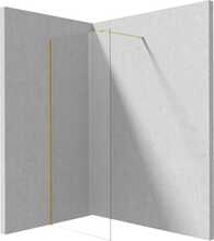 Dušisein Deante Prizma, 100 x 195 cm, brushed gold