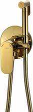 Bidee segisti Mexen Milo 7599350-50, kuldne