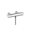 Termostaatiline dušisegisti Hansgrohe Ecostat 1001 CL, 13211000