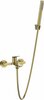Vannisegisti Invena Nestos BW-97-009-V, kuldne