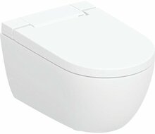 Seinapealne WC-pott Geberit AquaClean Alba 146.350.01.1, 375 x 565 mm, valge