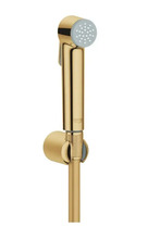 Bideeduši komplekt Grohe Tempesta-F 27513GL1, 1250 mm, kuldne