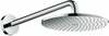 Dušiotsik Hansgrohe Raindance S 27607000, 2.4 cm, kroom