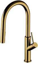 Segisti Omnires BEND BE6455GL