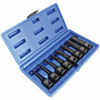 Padrunite komplekt otsikutega Asta A-1MHEX8, 8 tk