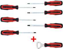 Kuuskantkruvikeerajate komplekt KS TOOLS, 6-osaline