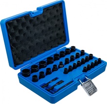 Spetsiaalne padrun- ja kruviekstraktorite komplekt BGS Technic 74560, 32 tk