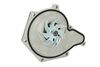 Veepump SKF VKPC 81310