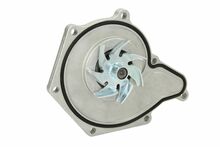 Veepump SKF VKPC 81310