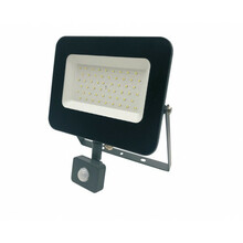 Välisprožektor Standart E024EIS, 50 W, 4250 lm, IP65, hall
