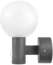 LED välisvalgusti Maclean MCE515, 15 W, IP65, 4000 K, hall