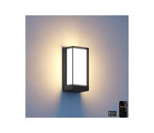 LED välisseinalamp Steinel L42C, 12,6W, 230V, IP54, 3000K, 990 lm, antratsiit/alumiinium