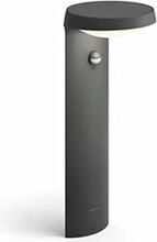 Välivalgusti Philips Tyla, 1.2 W, 4000 K, IP44, antratsiit