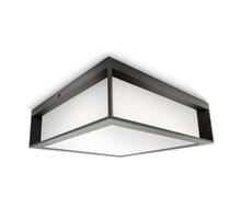 Välistingimustesse laevalgusti Philips SKIES, 14 W, E27, IP44, antratsiit, 26 cm x 8.1 cm