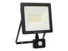 LED prožektor Blow, 50 W, PIR SMD