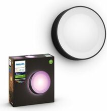 Välisseinavalgusti Philips Hue Daylo, 15 W, RGB, IP44, must