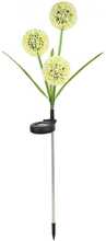 Maasse torgatav välisvalgusti Saska Garden Dandelion, 48 LED, 78 cm, erinevad värvid