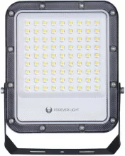 LED prožektor Forever Light Proxim+, 50 W, 4000 K, 7500 lm, IP65, must