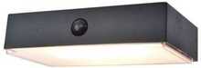 Nutikas õue seinalamp Lutec Connect, 5W, LED, IP54, antratsiit, 10.5 cm x 4.3 cm