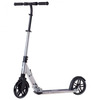 Tõukeratas Rideoo 200 Pro City, hõbe