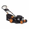 NAC TC-LS51-175-SB
